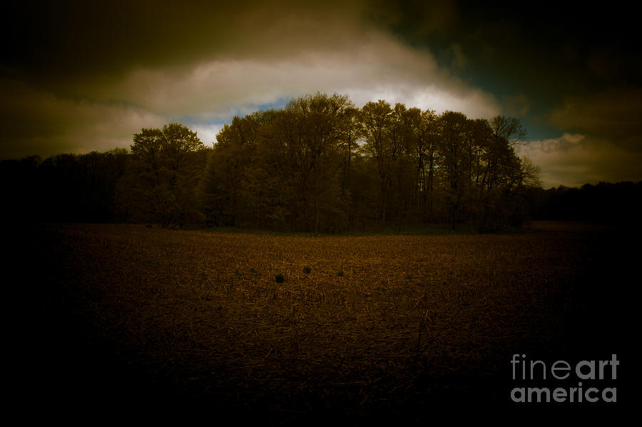 Farm Photograph - Dreamscapes - Harvest Field by Kathi Shotwell