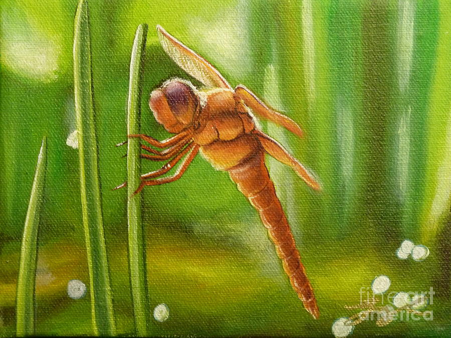 Dreamtime Dragonfly Painting by Gayle Utter