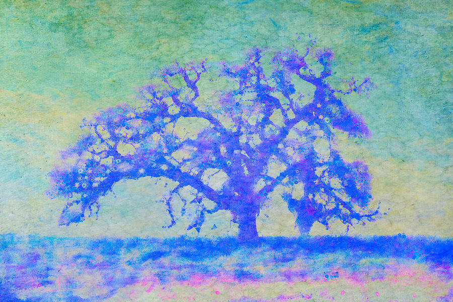 Dreamtime Oak Tree Art In Light Blue Digital Art by Priya Ghose