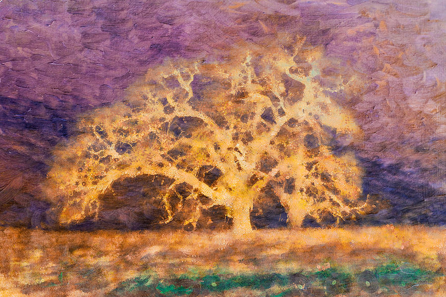 Dreamtime Oak Tree Art Mixed Media by Priya Ghose