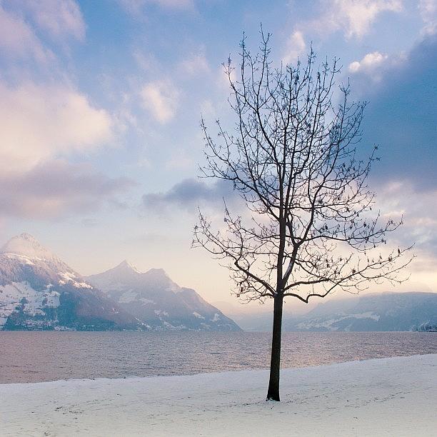 Winter Photograph - Dreamy by Anita Tellenbach
