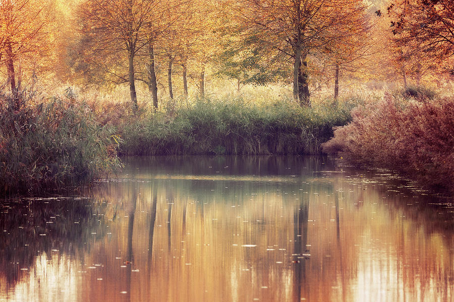 Dreamy Autumn Photograph by Ellen Van Bodegom