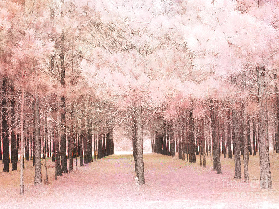 Dreamy Baby Pink Trees Woodlands Forest Fairytale Fantasy Nature - Shabby Chic Pink Trees Woodlands Photograph by Kathy Fornal