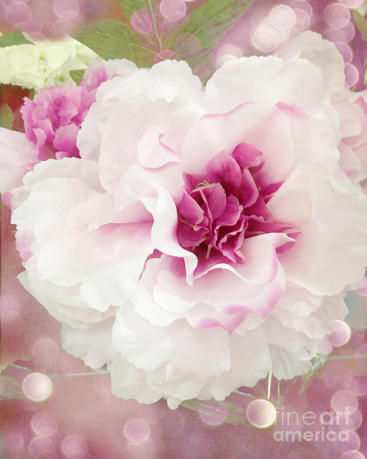 Dreamy Cottage Shabby Chic Pink and White Soft Ethereal Fluffy Rose Floral Art Impressionistic  Photograph by Kathy Fornal