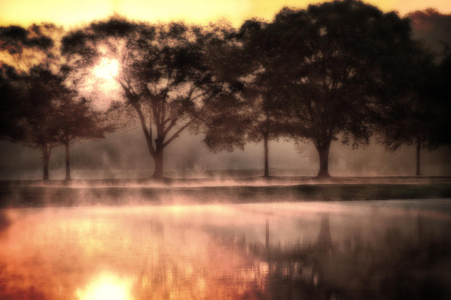 Dreamy Foggy Lake Photograph by Joe Myeress
