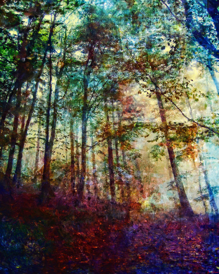 Dreamy Forest Digital Art by Joe Misrasi