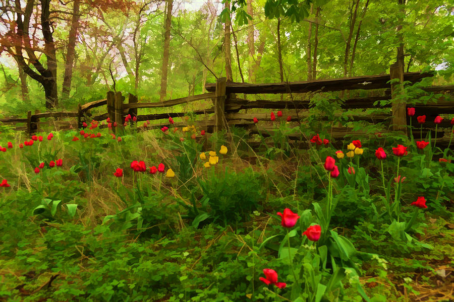 Dreamy Forest With Tulips - Impressions Of Spring Digital Art by Georgia Mizuleva