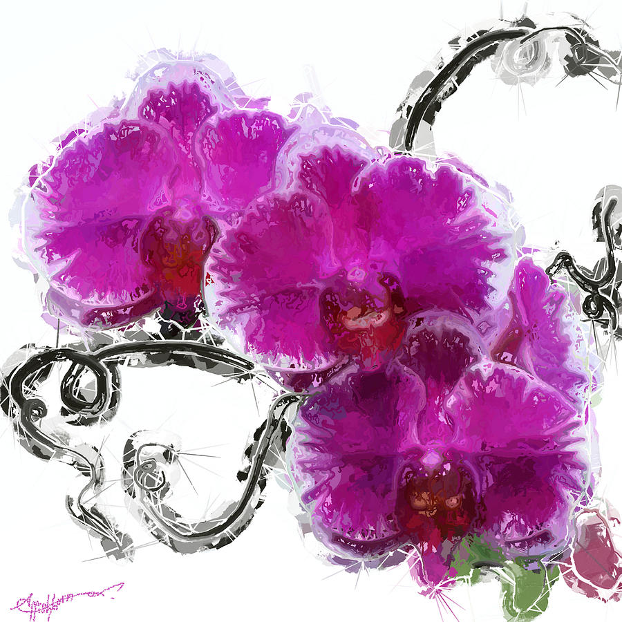 Dreamy Orchids Digital Art by Anthony Fishburne