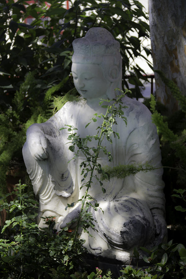 Dreamy Oriental Statue Photograph by Teresa Mucha