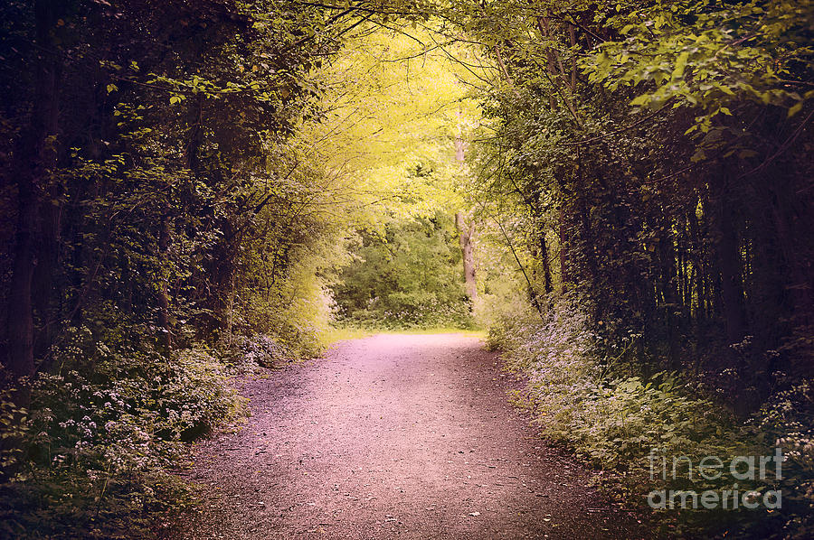 Dreamy Path by Svetlana Sewell - Fine Art America