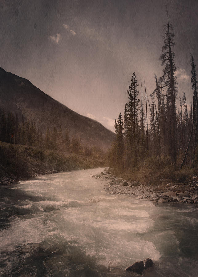 Dreamy River Photograph