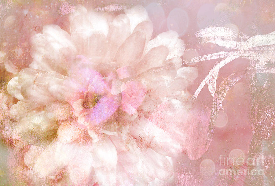 Pink Roses Photograph - Dreamy Romantic Pink Rose Floral Abstract by Kathy Fornal