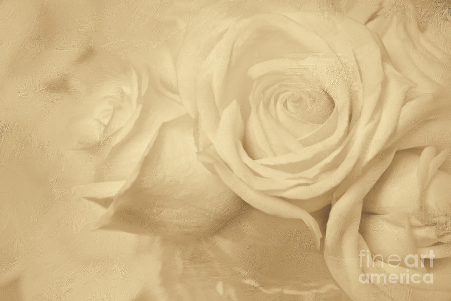 Dreamy Roses Digital Art by Jayne Carney
