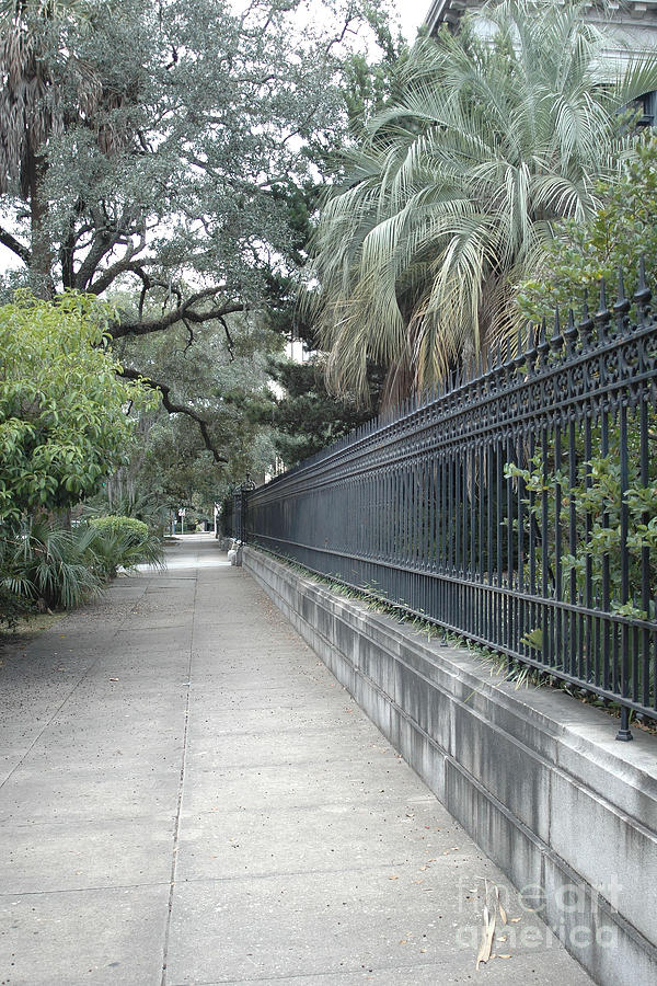 Dreamy Savannah Georgia Street Architecture Rod Iron Gates With Palm Trees  Photograph by Kathy Fornal