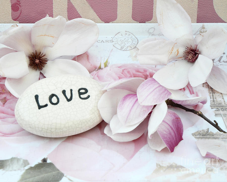 Dreamy Shabby Chic Pink White Magnolia Blossoms - Romantic Pink Magnolias With Love Photograph by Kathy Fornal