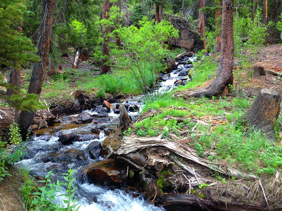 Dreamy Stream Photograph By Jennifer Ringley - Fine Art America