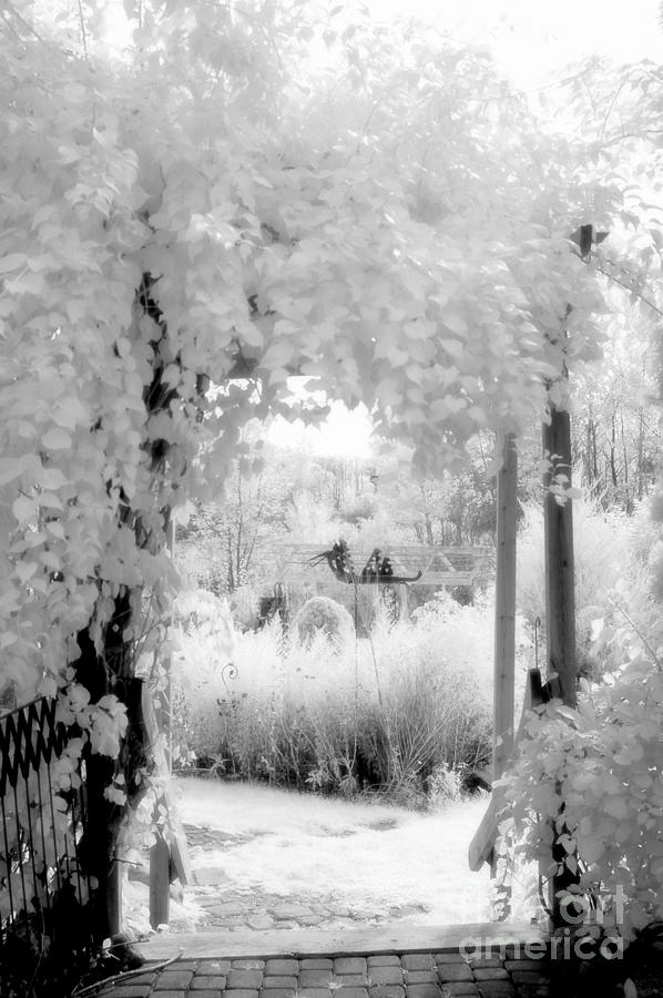 Dreamy Surreal Black White Infrared Arbor Photograph by Kathy Fornal