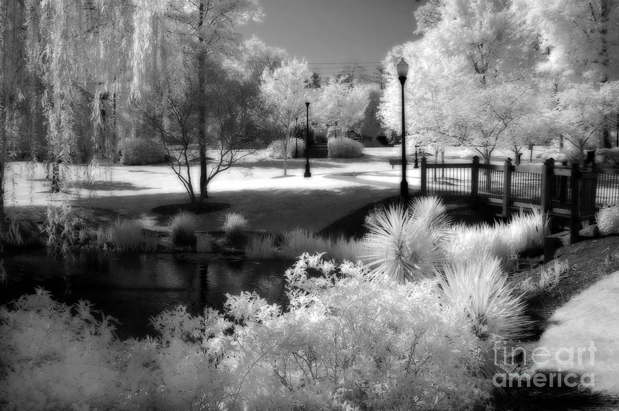 Surreal Infrared Black White Infrared Nature Landscape - Infrared Photography Photograph by Kathy Fornal