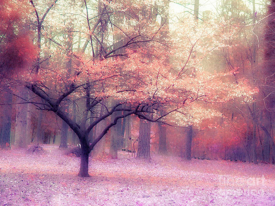 Surreal Fall Autumn Ethereal Trees Nature Landscape South Carolina Nature Landscape Photograph by Kathy Fornal