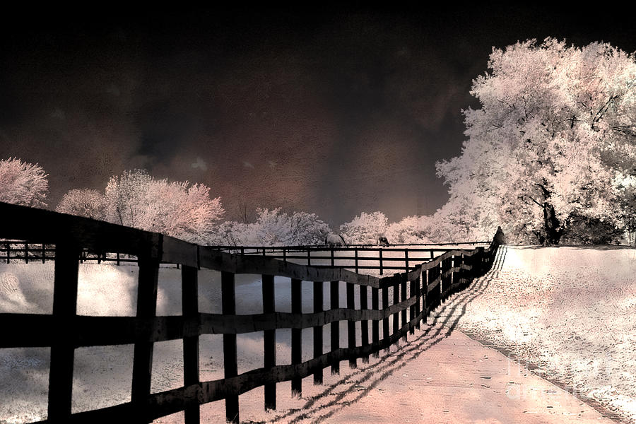 Dreamy Surreal Fantasy Infrared Color Landscape Photograph by Kathy Fornal