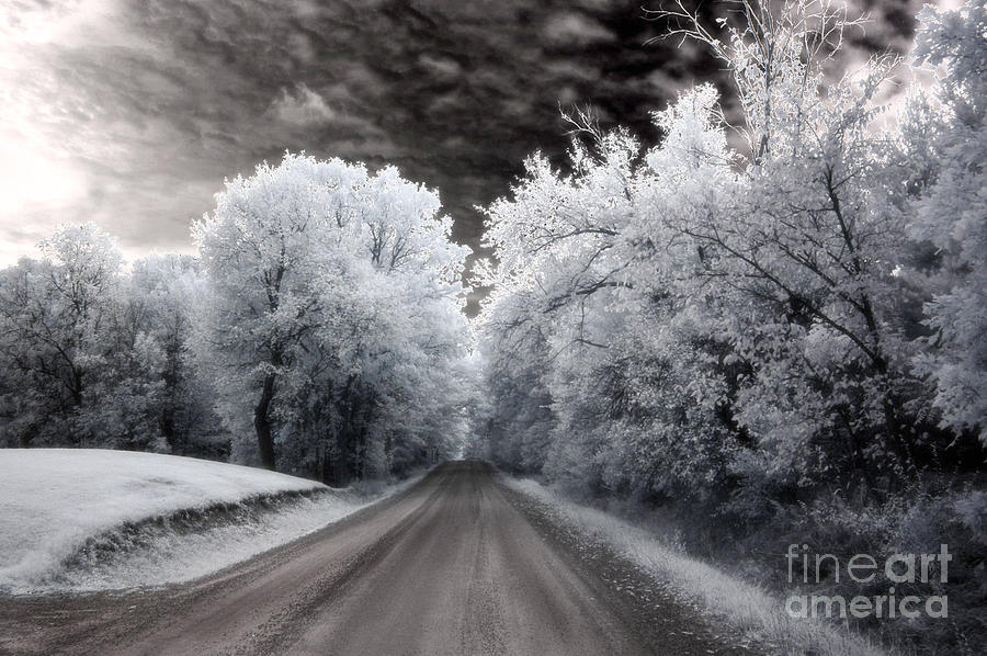 Nature Photograph - Dreamy Surreal Infrared Country Road Landscape by Kathy Fornal