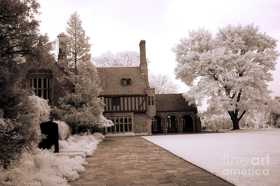 Nature Photograph - Infrared Michigan Meadowbrook Mansion Nature Landscape - Michigan Infrared Trees by Kathy Fornal
