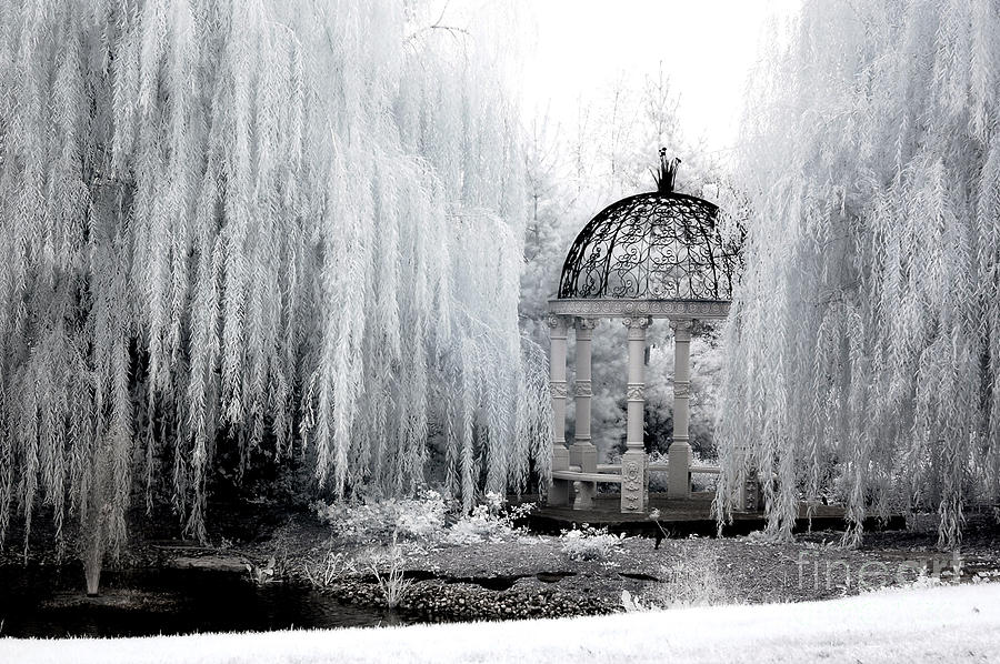 Dreamy Surreal Infrared Nature Ethereal Trees With Gazebo  Photograph by Kathy Fornal