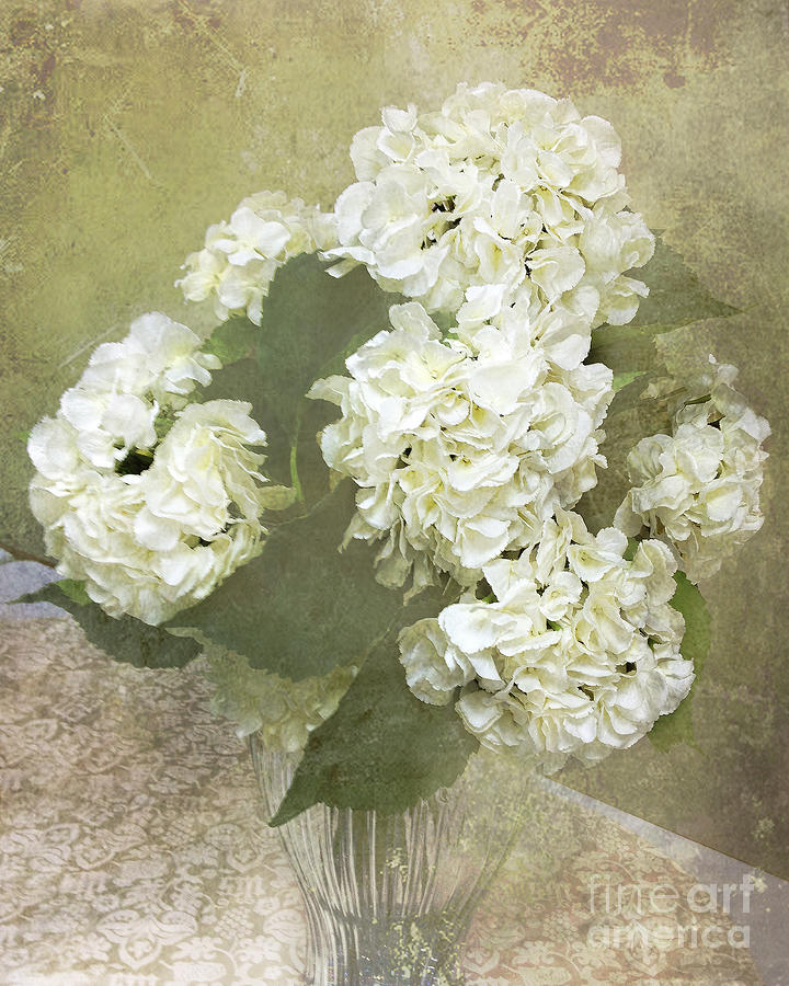 Hydrangea Floral Vintage Cottage Chic White Hydrangeas - Shabby Chic Dreamy White Floral Art  Photograph by Kathy Fornal