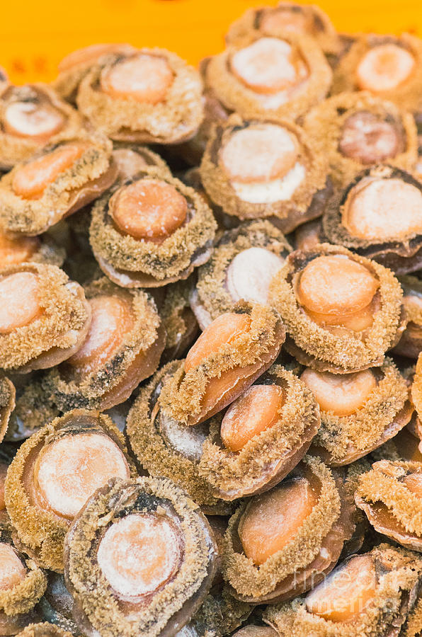 Dried Abalone In Seafood Street Of Hong Kong Photograph by Tuimages