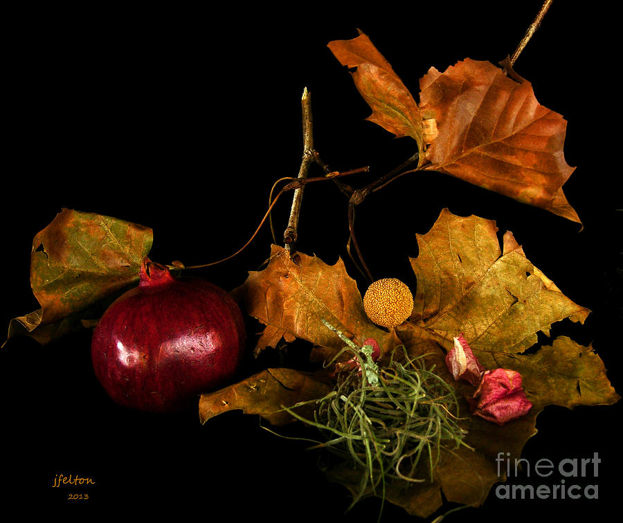 Dried arrangement with pomegranate Photograph by Julianne Felton