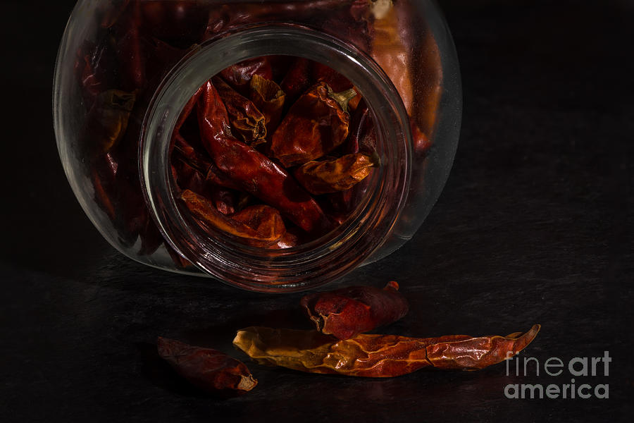Dried Chilli Photograph by Matt Malloy