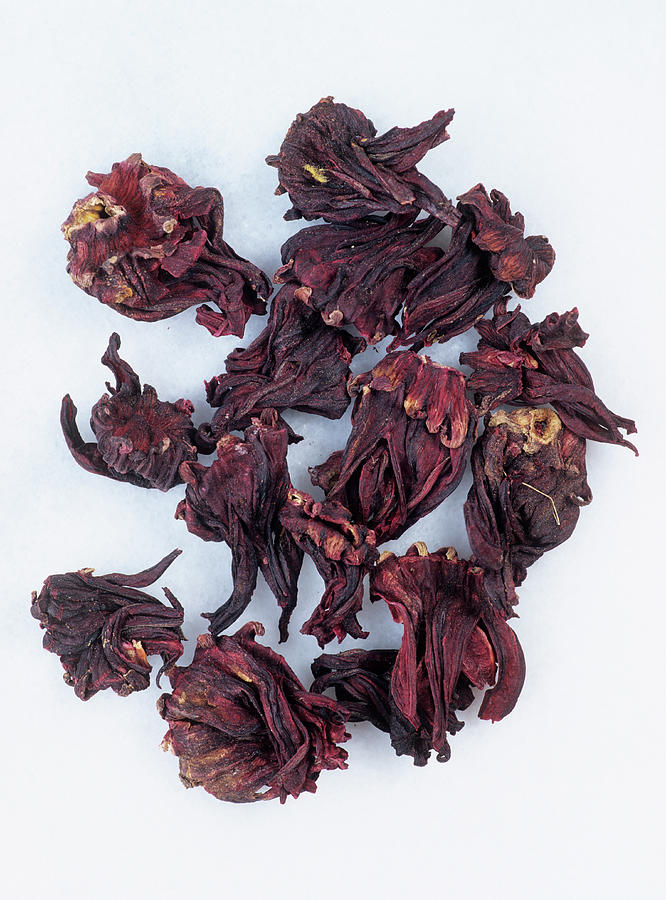 Dried Hibiscus Flowers For Infusions Photograph by Geoff Kidd/science Photo Library