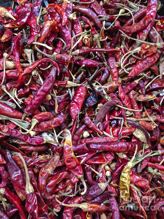 Dried Peppers Photograph