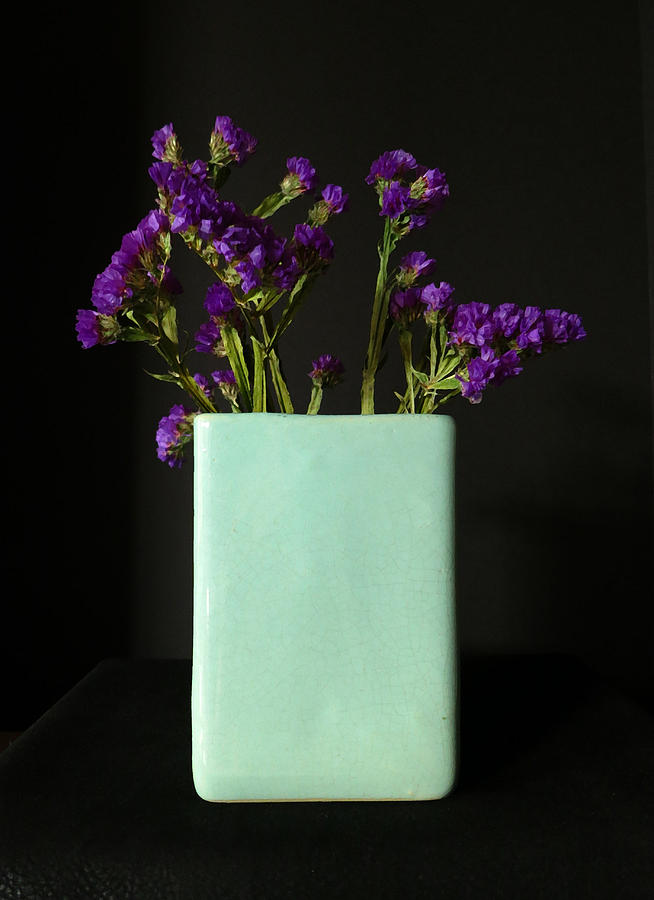 Flower Photograph - Dried Purple Flowers by Patricia Januszkiewicz