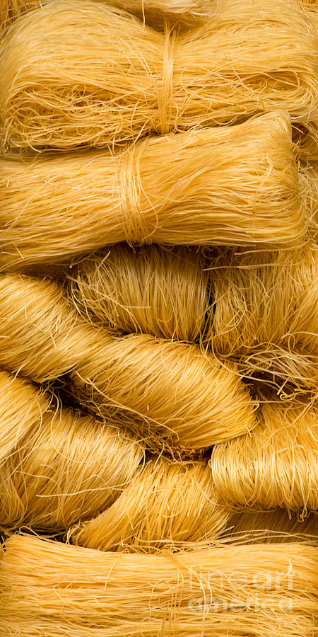 Dried Rice Noodles 03 Photograph by Rick Piper Photography