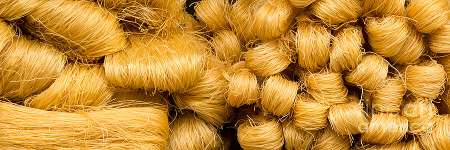 Dried Rice Noodles 05 Photograph by Rick Piper Photography