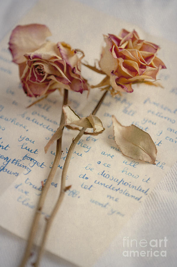 Dried Roses And Vintage Letter Photograph by Lee Avison
