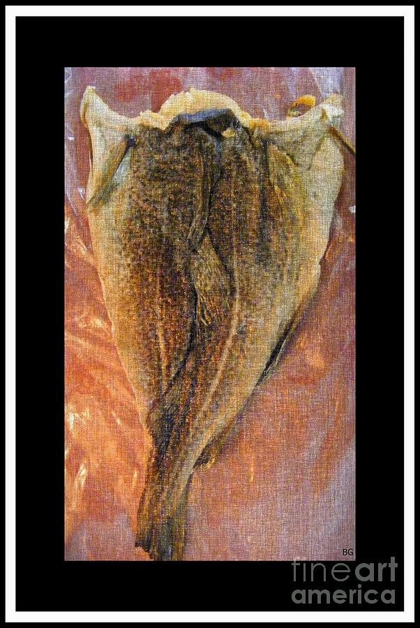 Dried Salted Codfish Back Digital Art by Barbara A Griffin