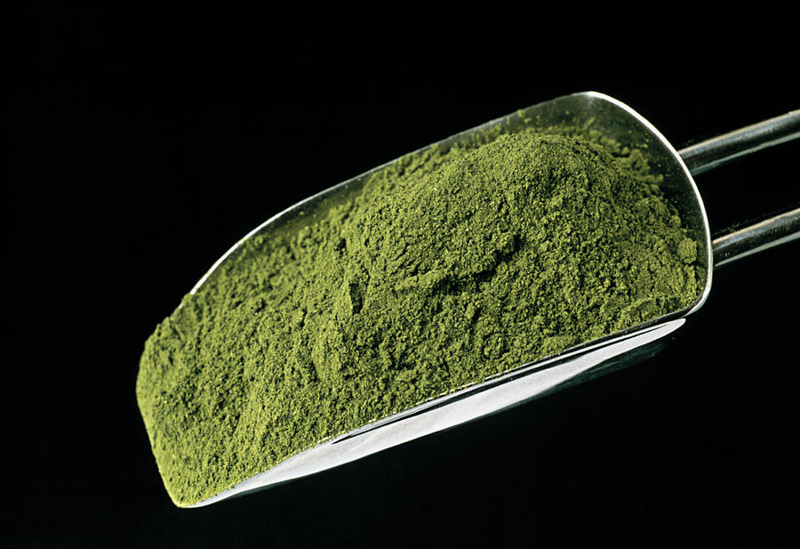 Dried Spinach Powder Photograph by Th Foto-werbung/science Photo Library