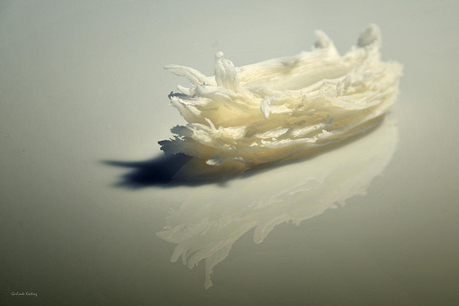 Dried Up Soap  Photograph by Gerlinde Keating