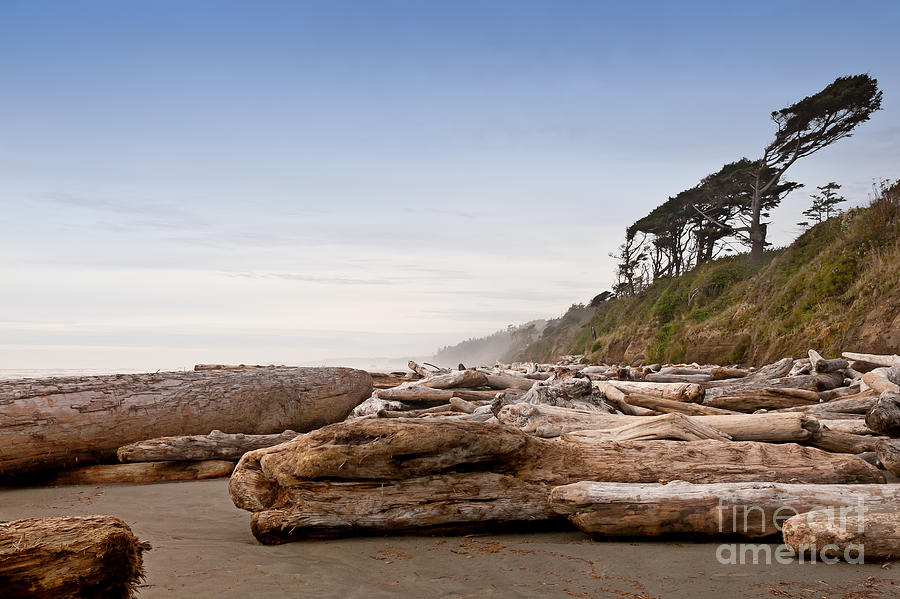 Drift Logs Tossed Like Pick-Up Sticks Upon Pacific Coast Beach Photograph by Jo Ann Tomaselli