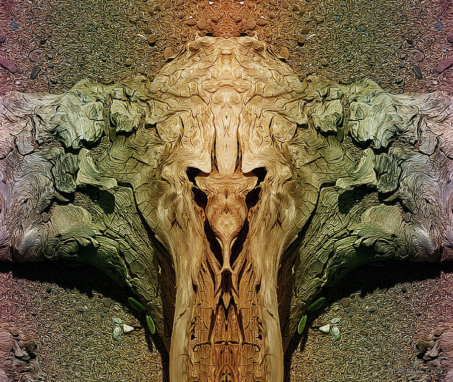 Drift Totem Photograph by WB Johnston