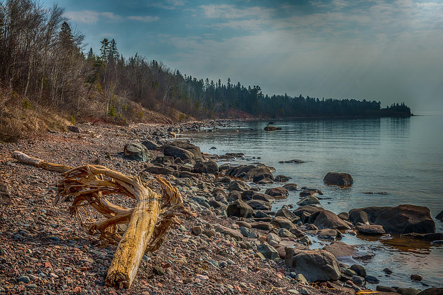 Nature Photograph - Drift Wood On Lake Superior by Paul Freidlund