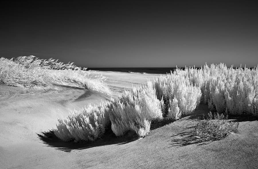 Drifting Sands I Photograph by Dan Carmichael