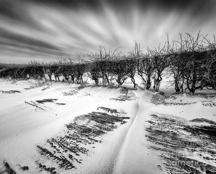 Mono Landscape Photograph - Drifting snow by John Farnan