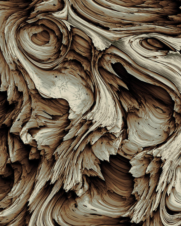 Driftwood 1 Digital Art by Vic Eberly