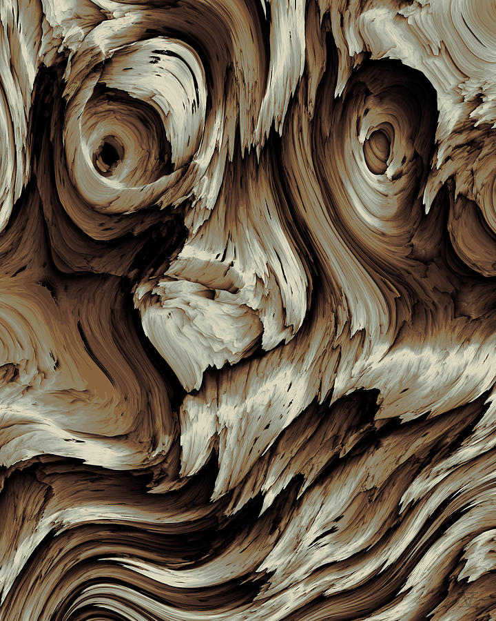 Driftwood 2 Digital Art by Vic Eberly