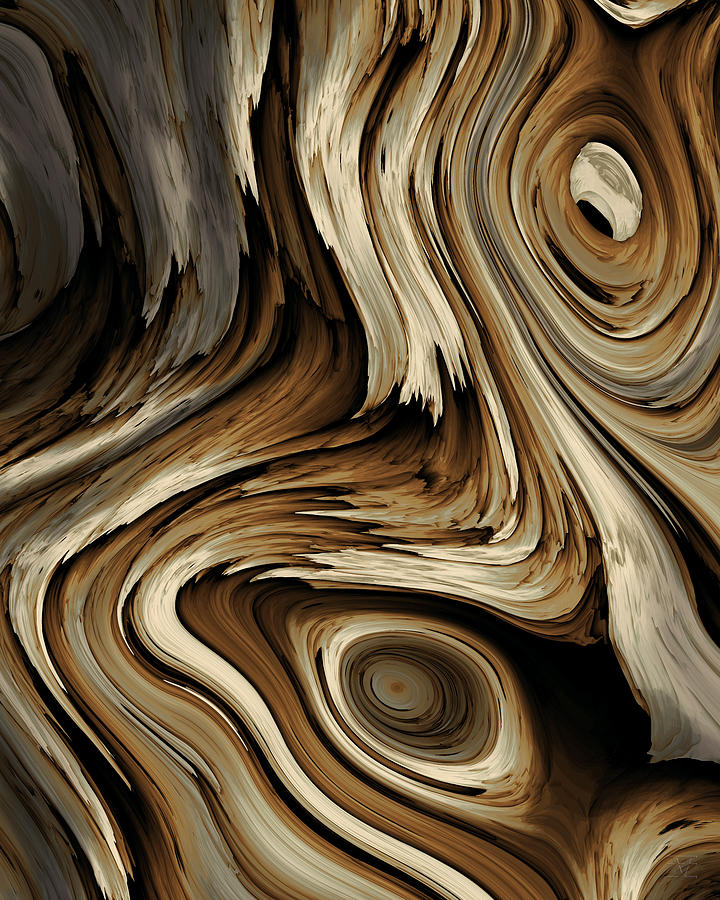 Driftwood 3 Digital Art by Vic Eberly