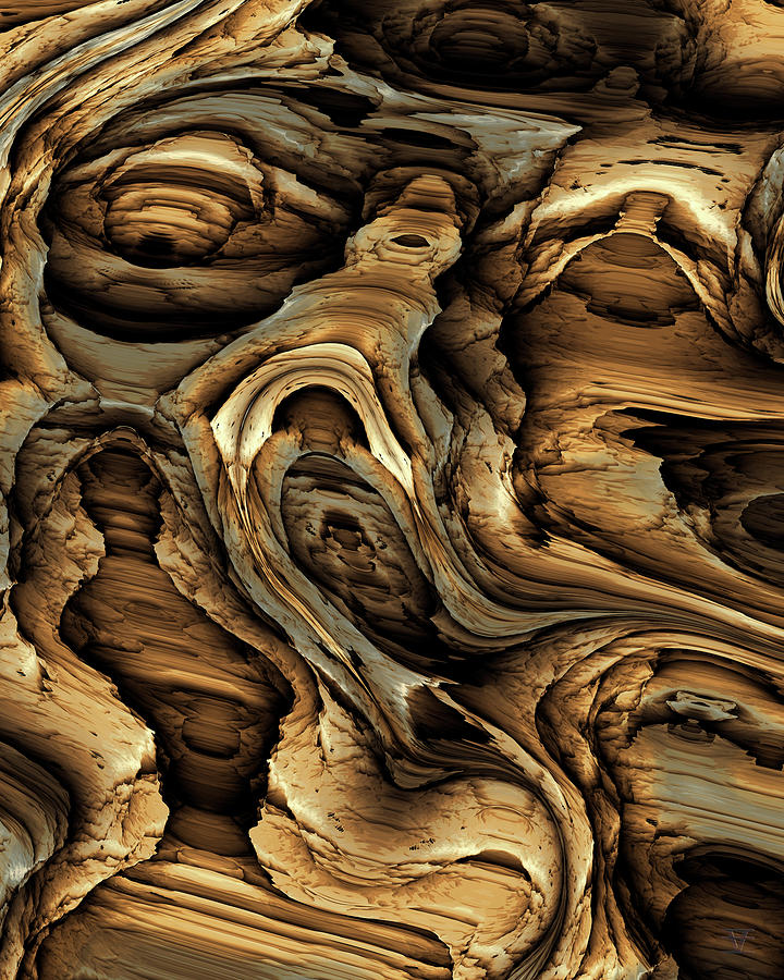 Driftwood 5 Digital Art by Vic Eberly