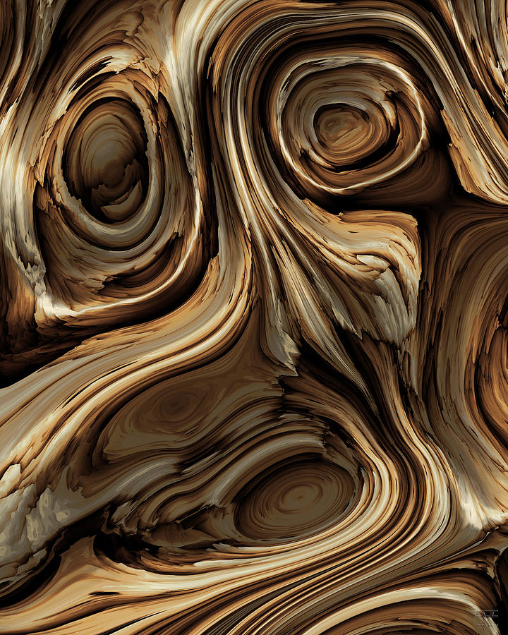 Driftwood 6 Digital Art by Vic Eberly